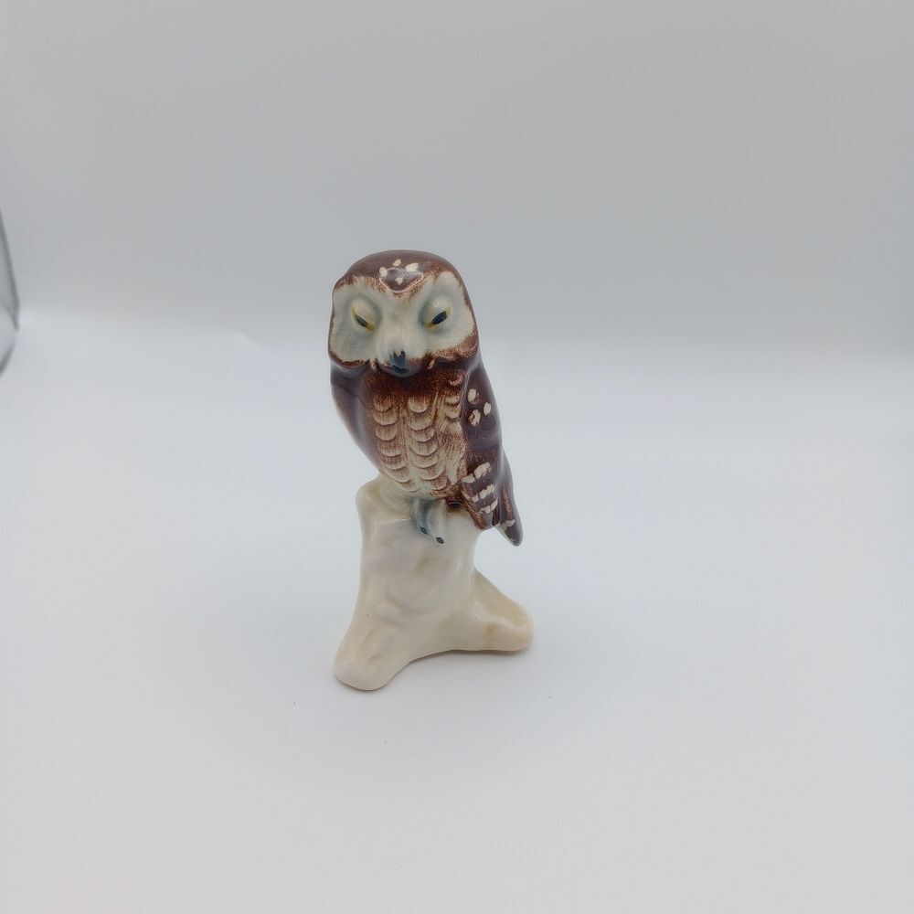 Sleepy perched owl